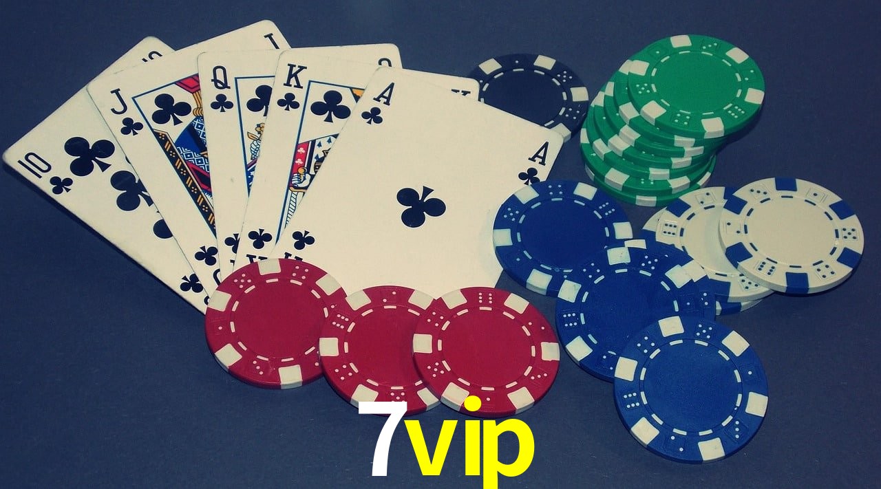 Experiência VIP 7vip
